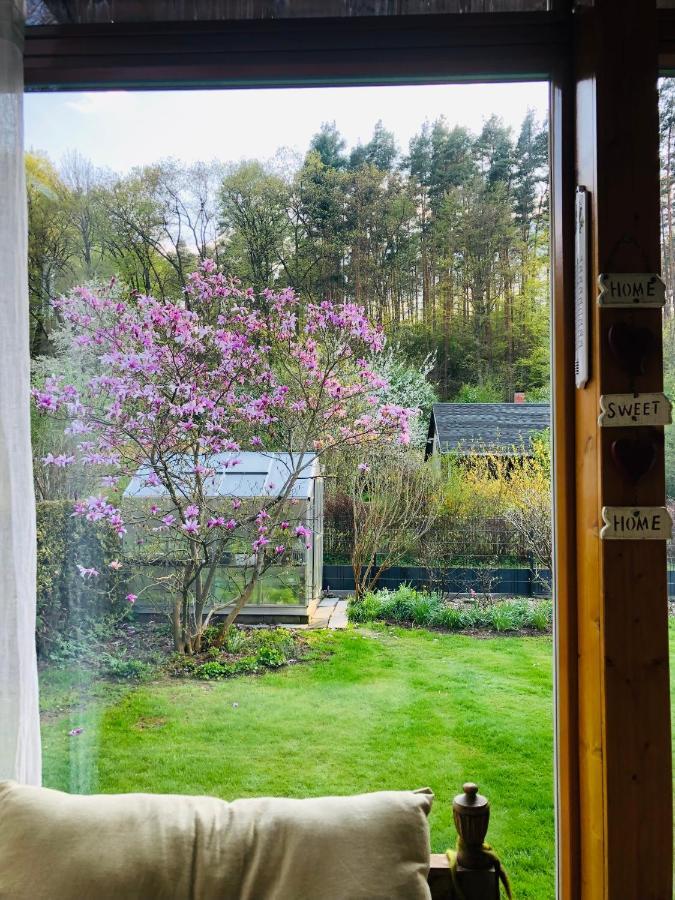 Villa Waldidyll Neuzelle Esterno foto